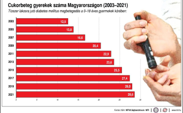 Elkezdődött a Nemzeti Diabétesz Stratégia kidolgozása