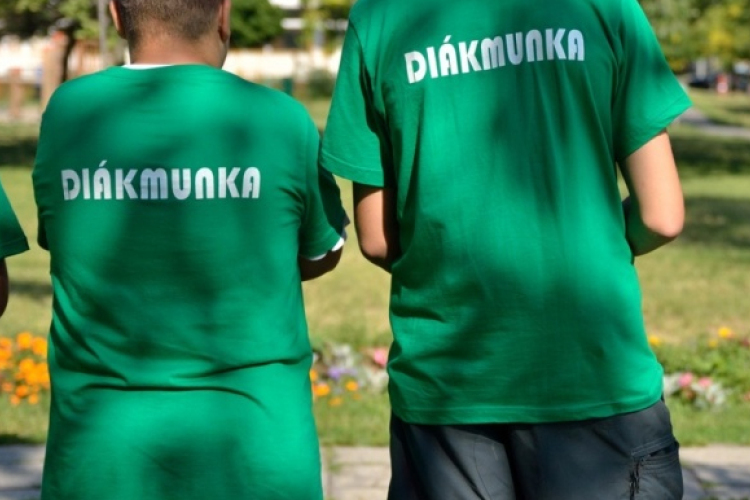 Óriási az érdeklődés a nyári diákmunka program iránt