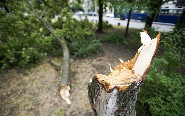 Milliárdos károkat okozhatott a szerdai vihar